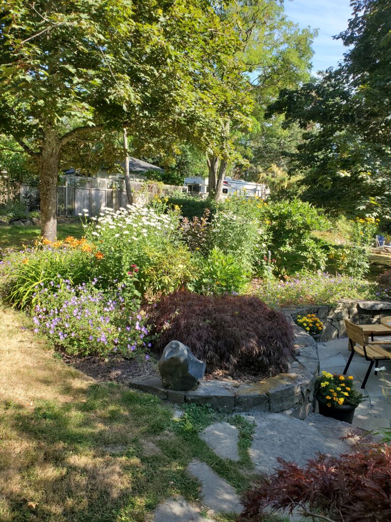 Pond garden with a stone patio and Japanese maples