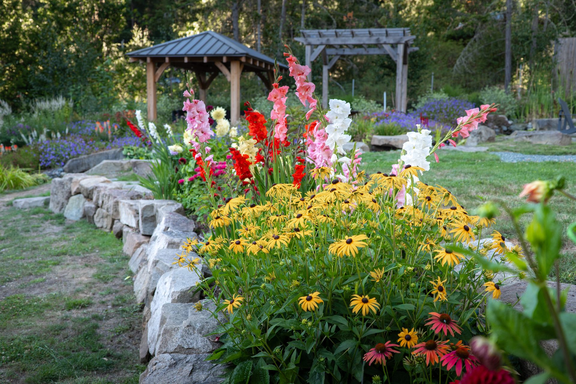 Gladiolus and black-eyed Susans along a stone wall